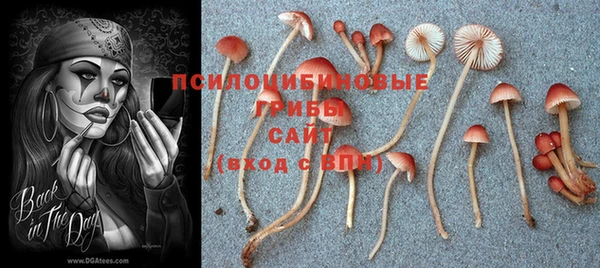 ALPHA PVP Богородицк