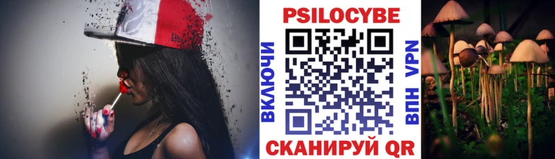 Псилоцибиновые грибы Psilocybine cubensis  Купить закладки  Байкальск 